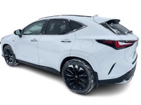 Modèle F SPORT 3. Apple Carplay sur un écran de 14 pouces, Système de son Mark Levinson, Sièges chau... (image 8)