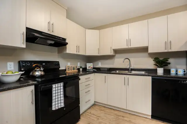 Pet-Friendly One Bedroom One Bath with In-suite Laundry for Rent in Long Term Rentals in Winnipeg - Image 8