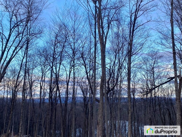 $274,000 - Residential Lot for sale in Mont-Tremblant — photo 2