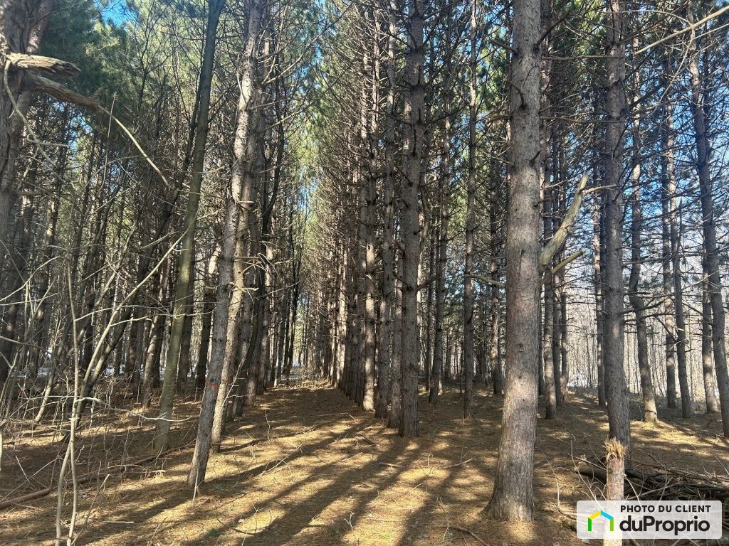 $199,000 - Residential Lot in Drummondville (St-Nicéphore) — photo 3