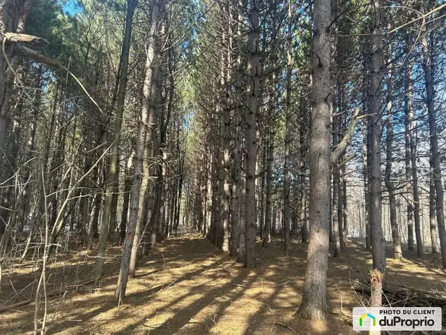 $199,000 - Residential Lot in Drummondville (St-Nicéphore) in Land for Sale in Drummondville - Image 4