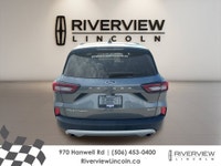 Discover a refined compact SUV that fits daily life in Fredericton with ease. This used 2025 Ford Es... (image 3)