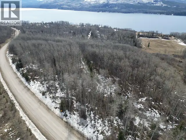 LOTS A,B C FRANCOIS LAKE ROAD Fraser Lake, British Columbia in Land for Sale in Burns Lake - Image 8