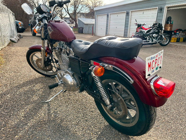 1989 Harley Davidson Sportster SHOWROOM CONDITION! in Street, Cruisers & Choppers in Red Deer - Image 4