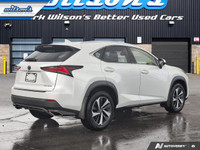 Look at this 2021 Lexus NX NX 300 Leather | Sunroof | Nav | Mark Levinson Audio | Heated & Cooled Se... (image 4)