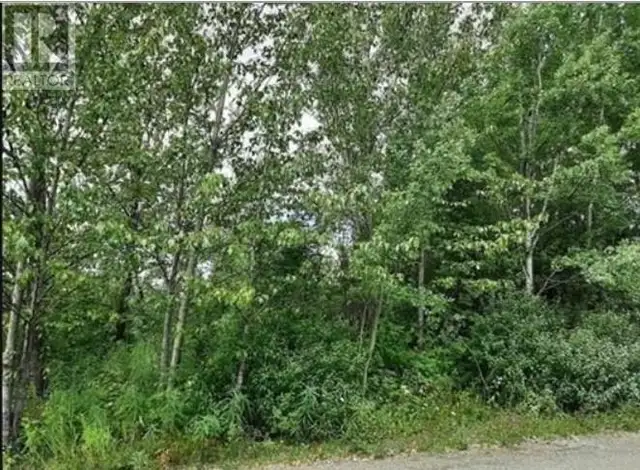 821 MURRAY ROAD Fort St. James, British Columbia in Land for Sale in Smithers - Image 2