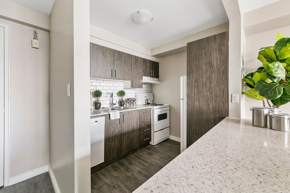 Practical Jr. 1 Bedroom Apt - Amazing Location on Riverside 3