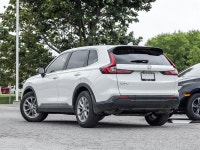 Experience the perfect blend of sophistication, versatility, and all-weather confidence with the 202... (image 4)