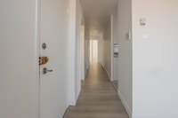 PROMOTION 1 mois gratuit * Grand 4 1/2 bien située - Unité rénovée avec goût Buanderie dans chaque l... (image 3)