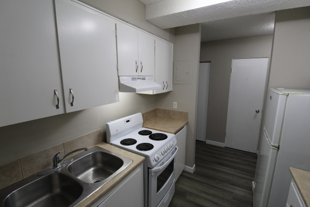 Pleasant Hill Apartment For Rent | Virgo Apartments in Long Term Rentals in Saskatoon - Image 2