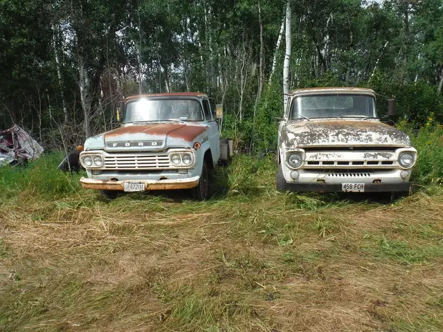 1955-59 GMC,Chevrolet, Mercury,Ford,Fargo 1/2,3/4,2 Ton trucks in Auto Body Parts in Edmonton - Image 3