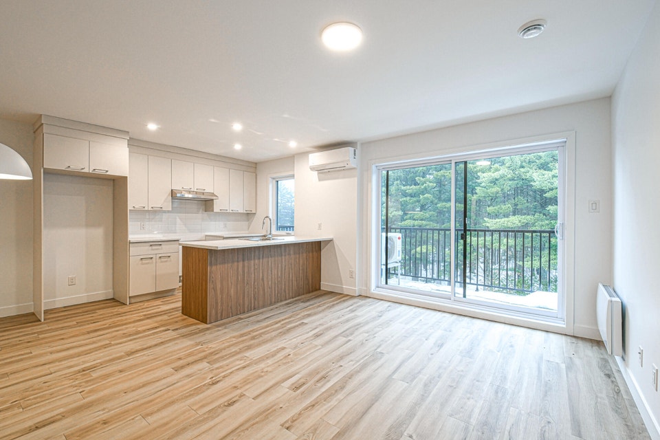 4½ à louer — 2062 Rue de la Visitation, app. 205 2