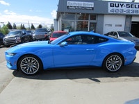 Thanks for viewing our South View Motors Inventory! 2024 FORD MUSTANG ECOBOOST PREMIUM FASTBACK IN B... (image 8)