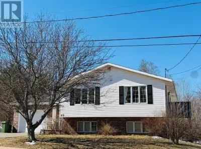 Beautiful and great-value 5-bedroom, 3-bath side-split home with a walkout lower level, ideally loca...