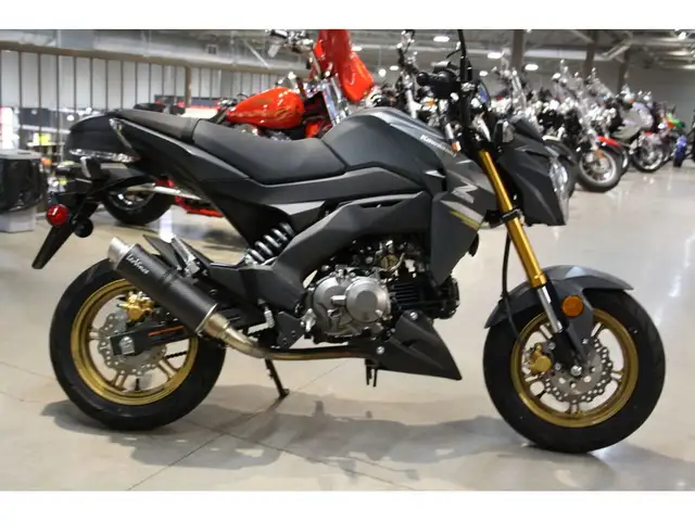 2024 Kawasaki Z125 PRO 125CC STREET LEGAL & EASY TO RIDE! in Street, Cruisers & Choppers in Guelph - Image 6