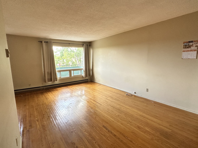 Large 2 bedroom in Long Term Rentals in Belleville - Image 3