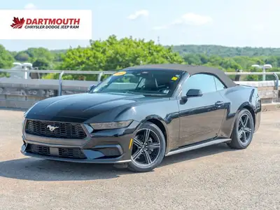Come see this 2025 Ford Mustang I4CV before someone takes it home! *Get Your Money's Worth for this...