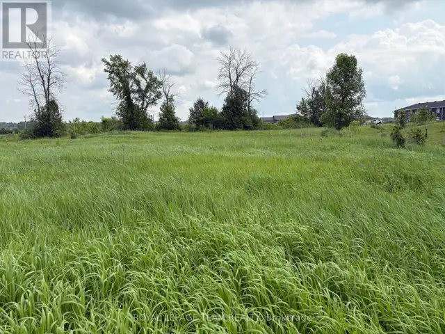 161 OLD PAKENHAM ROAD Ottawa, Ontario in Land for Sale in Ottawa - Image 4
