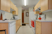 FREE APRIL RENT! 2 Bedroom Apartment In-Suite Laundry! Pets OK!