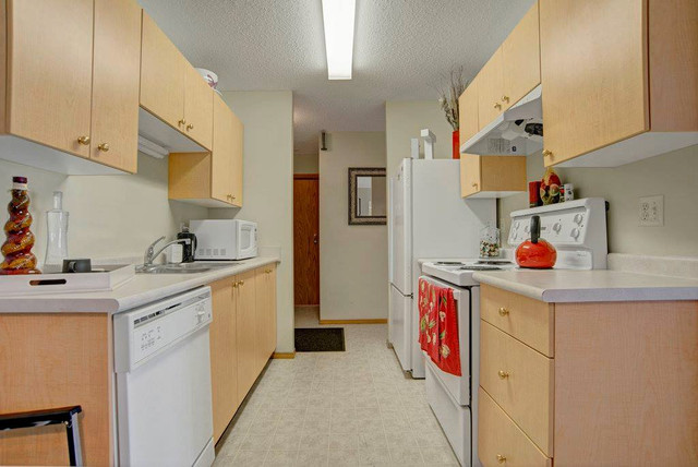 FREE APRIL RENT! 2 Bedroom Apartment In-Suite Laundry! Pets OK! in Long Term Rentals in Strathcona County