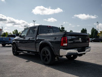 115-Volt Auxiliary Power Outlet, 121-Litre (26.6-Gallon) Fuel Tank, 3.92 Rear Axle Ratio, 7 Customiz... (image 4)