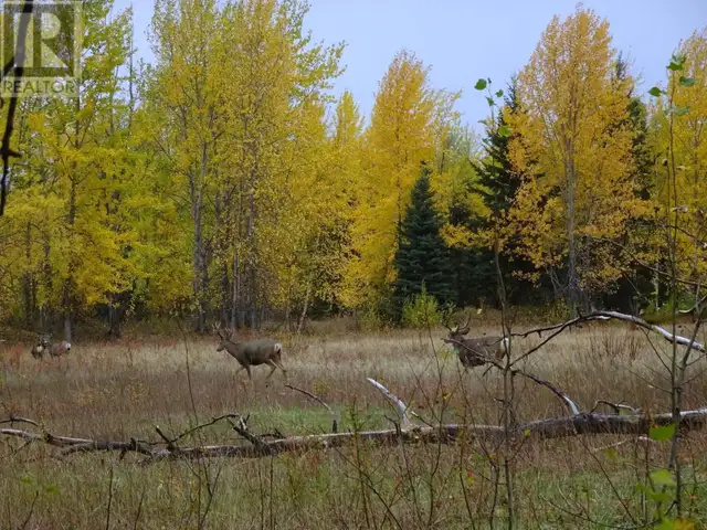 DL4905 DAY ROAD Horsefly, British Columbia in Land for Sale in Williams Lake - Image 14