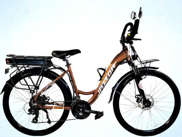 BAS PRIX Des Vélo Électrique Scooter et Triporteur Lithium 48V in eBike in Longueuil / South Shore - Image 6