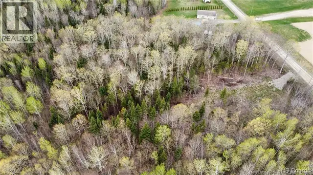Lot McKeaghan Road Williamstown, New Brunswick in Land for Sale in Fredericton - Image 4