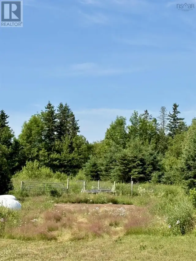 272 Breen Road Monastery, Nova Scotia in Land for Sale in New Glasgow - Image 12