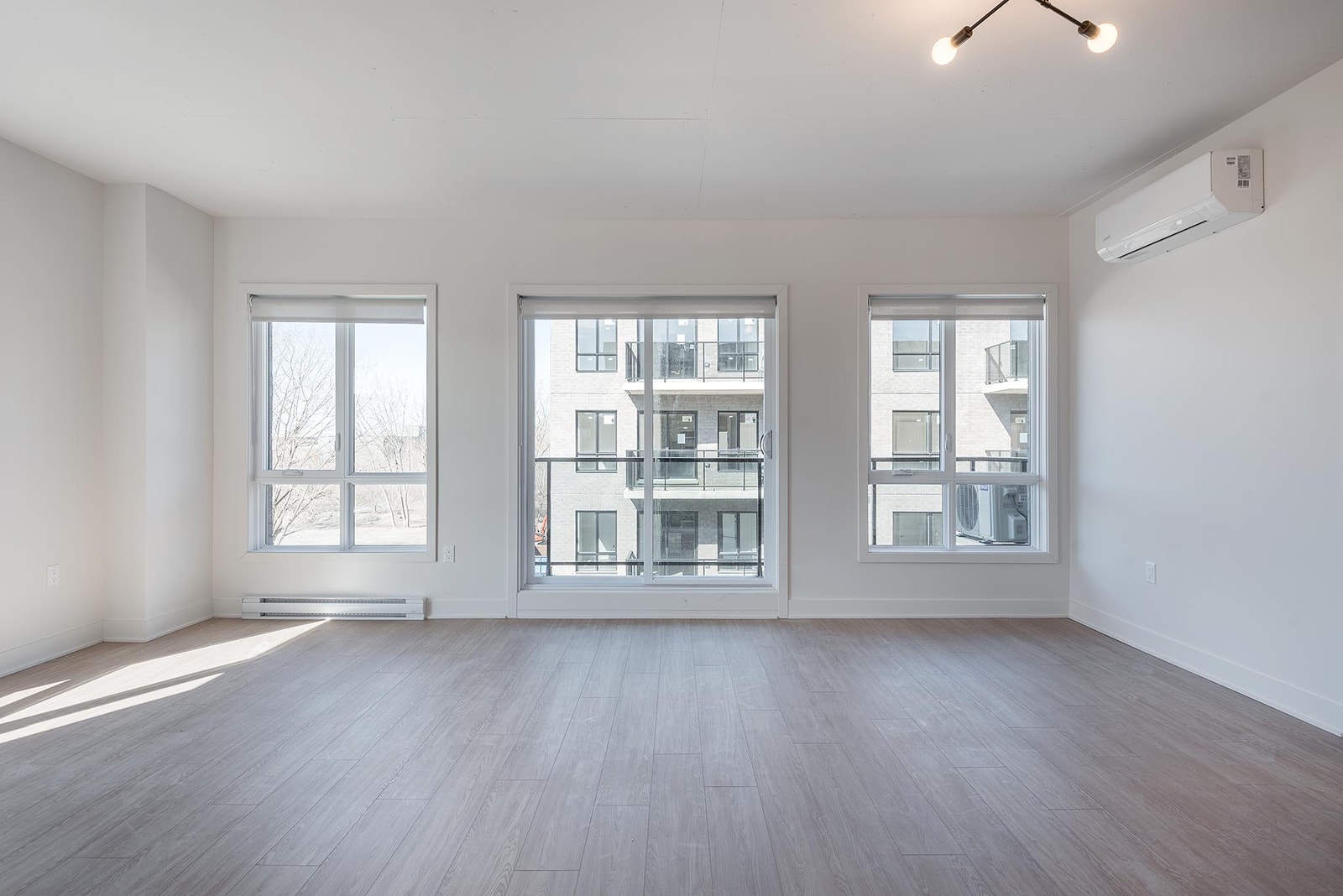 65 William Macdonald — photo 2