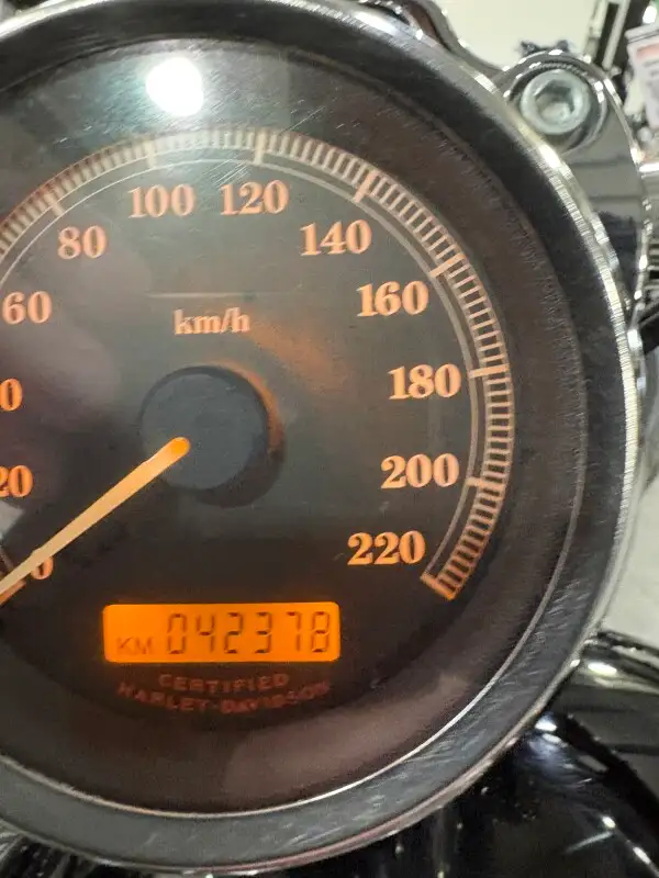 2004 Harley-Davidson Sportster 883 Custom in Sport Bikes in Sudbury - Image 16