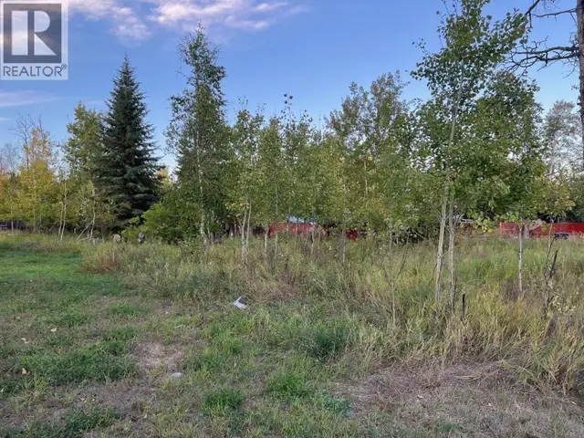 10109 PAQUETTE AVENUE Hudsons Hope, British Columbia in Land for Sale in Dawson Creek - Image 3