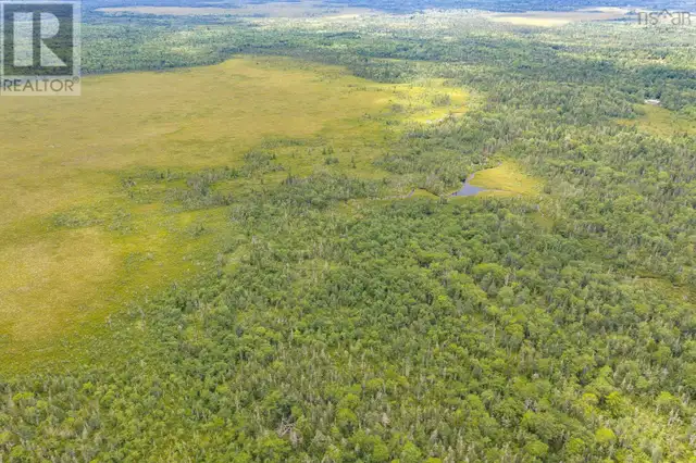 TBD Canada Hill Road Allendale, Nova Scotia in Land for Sale in Yarmouth - Image 16