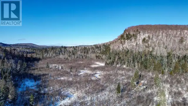 146 BUCK HILL ROAD Hastings Highlands (Monteagle Ward), Ontario in Houses for Sale in Trenton - Image 18
