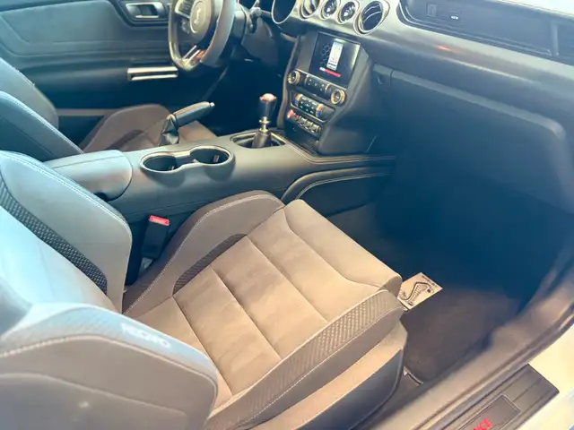2019 Ford Mustang Shelby GT350 in Cars & Trucks in Oakville / Halton Region - Image 8