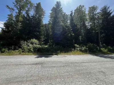 ¼ Acre Flat Treed Building Lot in the Community of Sunshine Valley near Manning Park less than 2 hou...