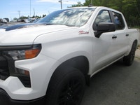 Built for work, weather, and weekend escapes, this 2022 Chevrolet Silverado 1500 Custom Trail Boss d... (image 1)