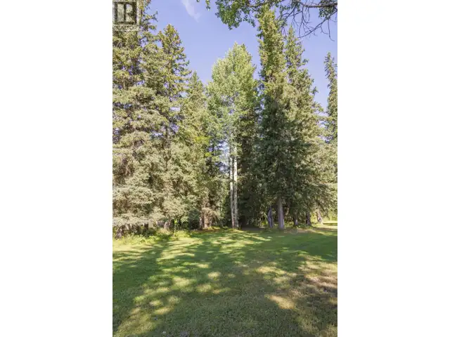 849 BRIDGE ROAD McBride, British Columbia in Land for Sale in Quesnel - Image 7
