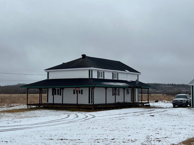 Laforce (Abitibi) : Fermette 208 acres, 96 acres cultivables dans Maisons à vendre  à Rouyn-Noranda - Image 2