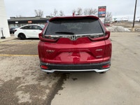 Red 2021 Honda Sport 4D Sport Utility AWD CVT 1.5L I4 Turbocharged DOHC 16V LEV3-ULEV50 190hp AWD. D... (image 7)