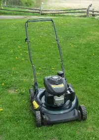 Gas Lawn Mower