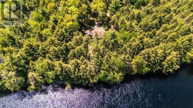 87 Edith's Point Road South Brookfield, Nova Scotia in Houses for Sale in Bridgewater - Image 3