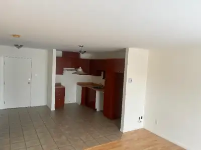 3 1/2 libre immédiatement, aussi juillet tranquillité assuré contact moi pour infos 418 955-6527 mit...