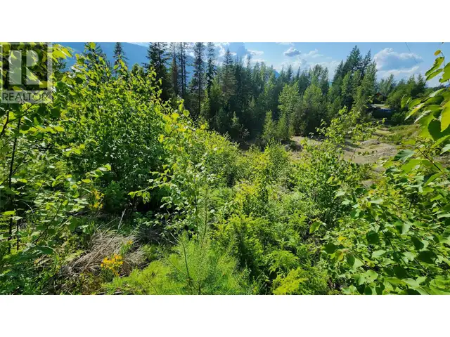 Lot 19 6 Highway Nakusp, British Columbia in Land for Sale in Nelson - Image 7