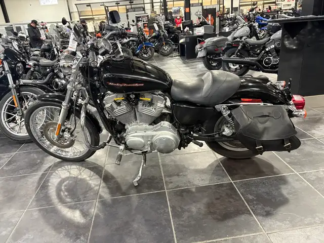 2004 Harley-Davidson Sportster 883 Custom in Sport Bikes in Sudbury - Image 11