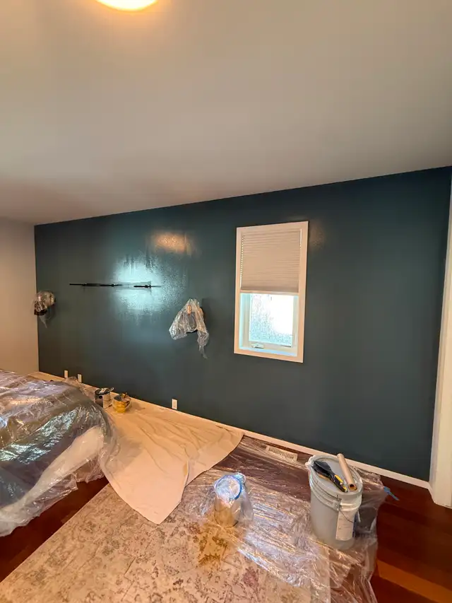Professional & Reliable Painter598688517147207682