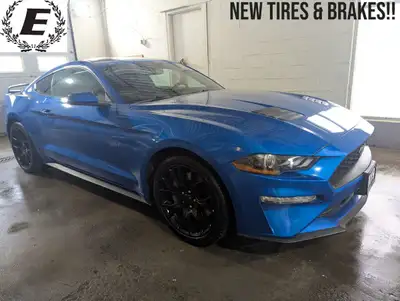 Cruise into excitement with this head-turning 2019 Ford Mustang EcoBoost, now available at Eckert Au...