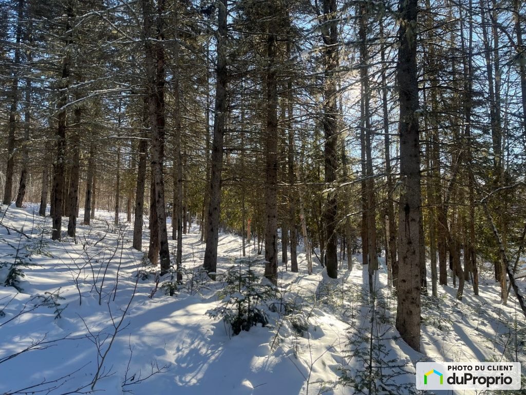 $60,000 - Residential Lot for sale in La Malbaie (Ste-Agnès) — photo 3