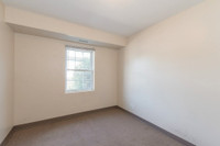 1 Female Student Bed in Unit 6 at 298 Spruce Kitchener / Waterloo Kitchener Area Preview