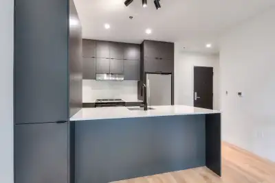 5.5 PROMO Condo neuf 3 cc à louer Pointe-Saint-Charles-Erin, View more